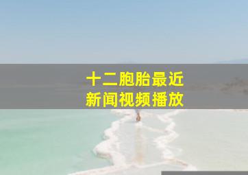 十二胞胎最近新闻视频播放