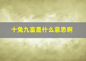 十兔九富是什么意思啊