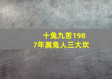 十兔九苦1987年属兔人三大坎