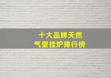 十大品牌天然气壁挂炉排行榜