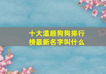 十大温顺狗狗排行榜最新名字叫什么