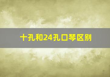 十孔和24孔口琴区别