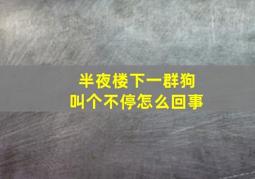 半夜楼下一群狗叫个不停怎么回事