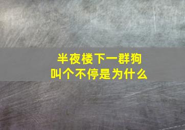 半夜楼下一群狗叫个不停是为什么