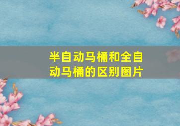 半自动马桶和全自动马桶的区别图片