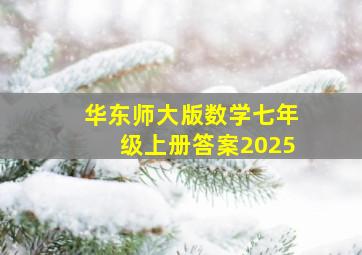 华东师大版数学七年级上册答案2025