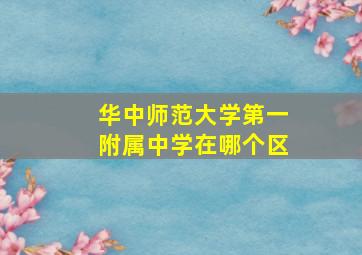 华中师范大学第一附属中学在哪个区