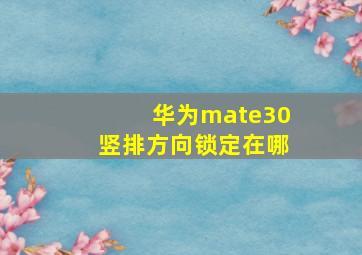 华为mate30竖排方向锁定在哪