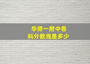 华师一附中各科分数线是多少