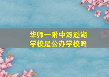 华师一附中汤逊湖学校是公办学校吗