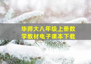 华师大八年级上册数学教材电子课本下载