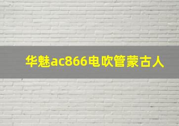 华魅ac866电吹管蒙古人