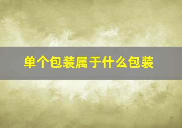 单个包装属于什么包装