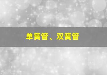 单簧管、双簧管