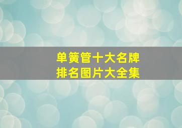 单簧管十大名牌排名图片大全集