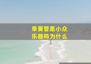 单簧管是小众乐器吗为什么