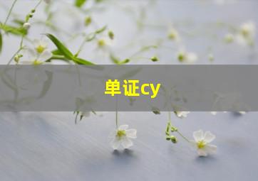 单证cy