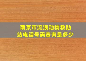 南京市流浪动物救助站电话号码查询是多少