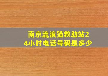 南京流浪猫救助站24小时电话号码是多少