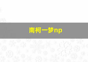 南柯一梦np