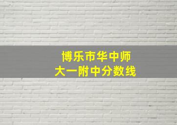 博乐市华中师大一附中分数线