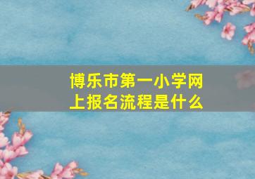 博乐市第一小学网上报名流程是什么