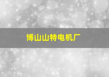 博山山特电机厂