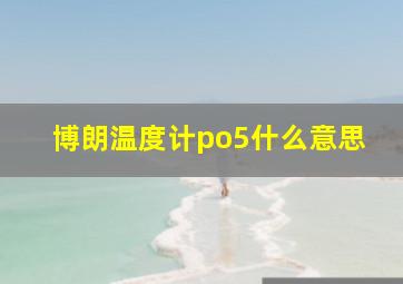 博朗温度计po5什么意思