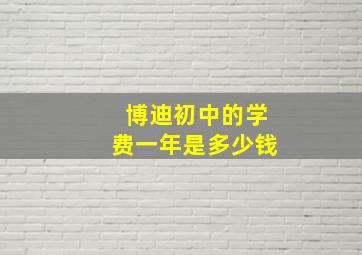 博迪初中的学费一年是多少钱