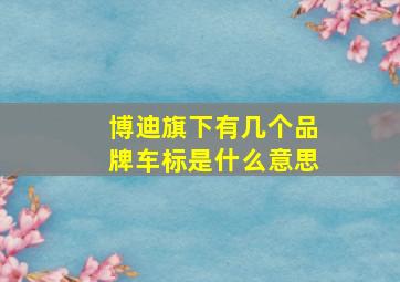 博迪旗下有几个品牌车标是什么意思