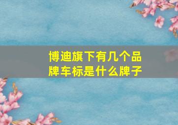 博迪旗下有几个品牌车标是什么牌子