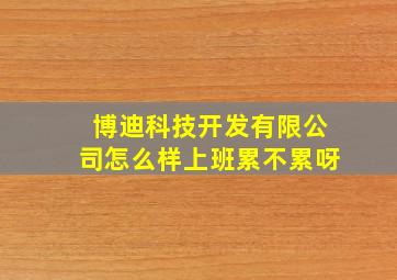 博迪科技开发有限公司怎么样上班累不累呀