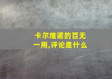 卡尔维诺的百无一用,评论是什么