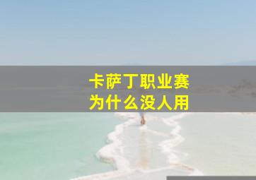 卡萨丁职业赛为什么没人用