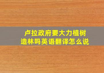 卢拉政府要大力植树造林吗英语翻译怎么说