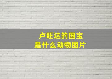 卢旺达的国宝是什么动物图片