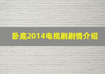 卧底2014电视剧剧情介绍