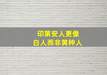 印第安人更像白人而非黄种人