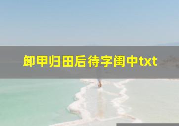 卸甲归田后待字闺中txt