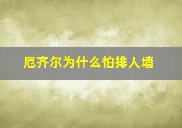 厄齐尔为什么怕排人墙