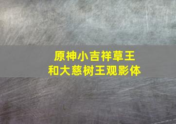 原神小吉祥草王和大慈树王观影体