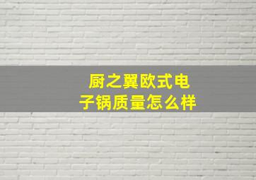 厨之翼欧式电子锅质量怎么样