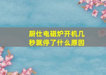 厨仕电磁炉开机几秒就停了什么原因