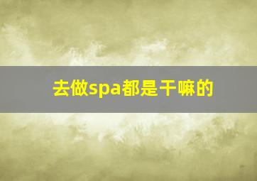 去做spa都是干嘛的