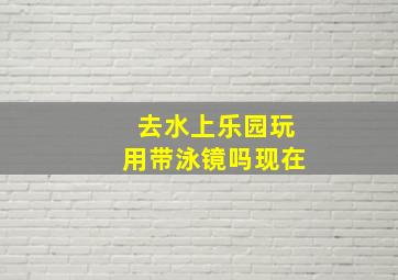 去水上乐园玩用带泳镜吗现在