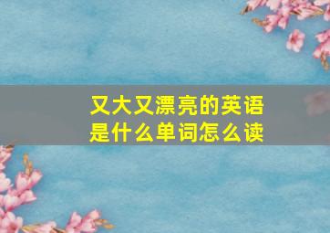 又大又漂亮的英语是什么单词怎么读