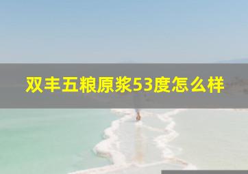 双丰五粮原浆53度怎么样