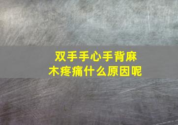 双手手心手背麻木疼痛什么原因呢