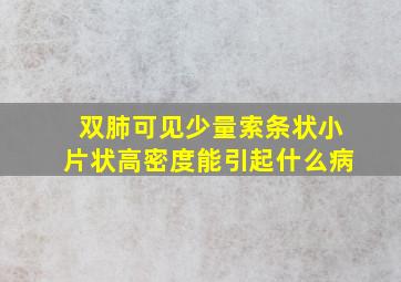 双肺可见少量索条状小片状高密度能引起什么病