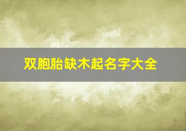 双胞胎缺木起名字大全